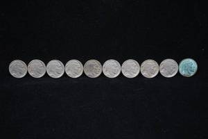 lot 139 image: 10 US Buffalo Nickel Coins - Partial or Full Date