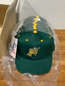 NDSU Bison Kids Hats Lot of 12
