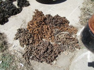 lot 59 image: Tire Chains