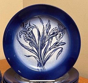 Set of 14 Beautiful Large Dinner Plates