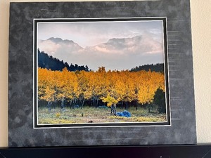 Six Nature Photographs