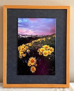Gorgeous Framed Nature Scene Photograph