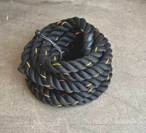 lot 42 image: 30 ft Exercise Battle Rope