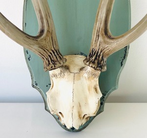 lot 127 image: Faux Antler Wall Decor