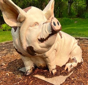 Be The Envy Of All Your Friends With Your Own Pig