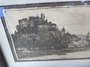 Salzburg Riverbank Framed Print