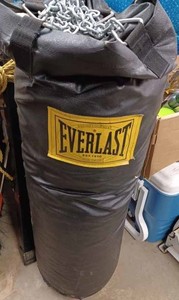 lot 25 image: Everlast 36-inch tall Punching Bag with an Everlast 2-inch X 58-inch Square Tube with Nylon Rope and Heavy Chain
