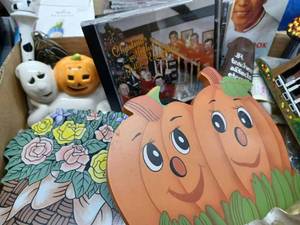 lot 82 image: Three Boxes of Christmas and Halloween Decorations, Assorted CDs, Rice Cookbook, and More