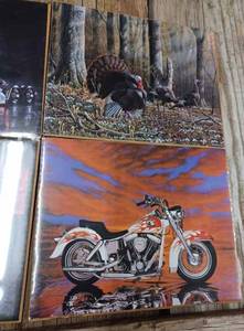 lot 138 image: 14 - 8 X 10 Reproductions of Prints and Photos of Motocycles, Semi Tractors, Rodeo Scenes, and Wild Turkeys
