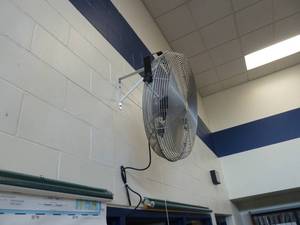 lot 12 image: Library Fan 24