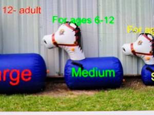Size Medium Pony Hops Bounce Around Inflatables