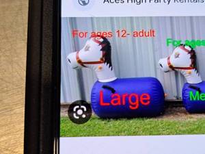 Lot of (2) Size Large Pony Hops Bounce Around Inflatables