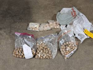 Lot of  Bingo Balls