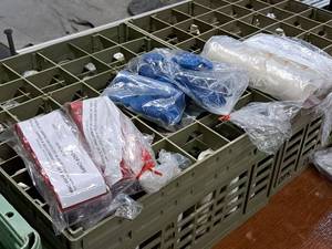 Lot of (500) Poker Chips
