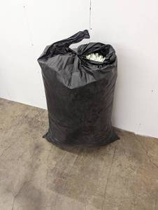 lot 41 image: Large Bag of Packing Peanuts