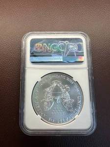 2018 SILVER EAGLE