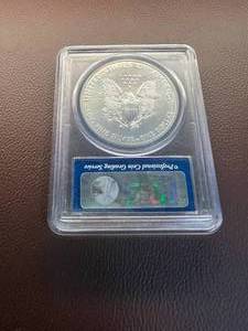 2013 (W) SILVER EAGLE