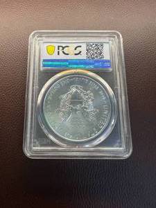 2019 (W) SILVER EAGLE