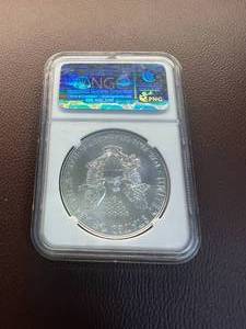 2012 SILVER EAGLE