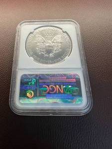 2015 SILVER EAGLE