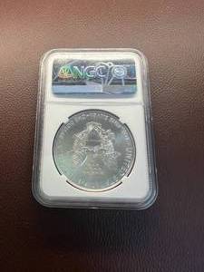 2018 SILVER EAGLE
