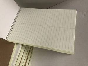 Steno Notebooks