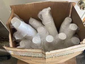 Foam Cups