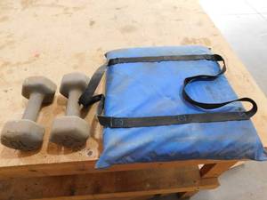 lot 45 image: 2 10 lb weights & Flotation Cushion