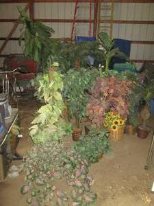 lot 125 image: Approx 12-14 Fake Plants of Various...