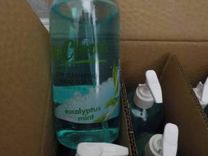lot 174 image: 20 - 16.9 oz Bottles We Clean Eucal...