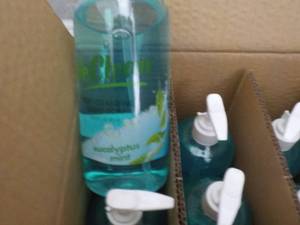 lot 179 image: 20 - 16.9 oz Bottles We Clean Eucal...