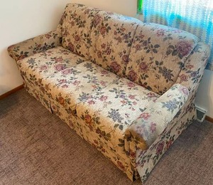Queen Pull-Out Sofa Couch
