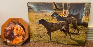 Golden Retriever Decor Plate & Pointer Art