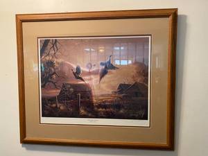 Limited Edition Signed Framed Fenceline Flurry Print by John C Green
