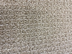 90 SF Carpet REM Dream Weaver Style Pinpoint Color Soft Pine 12 x 7.5