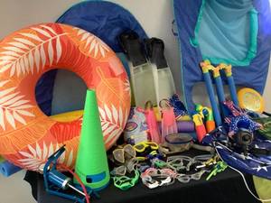 Pool Accessories