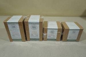 Begonia and Bench Candles -Cactus Flower, Citrus & Clove, Redberries, Sunrise & Nectar