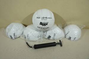 5 Biggz Volleyballs with Pump