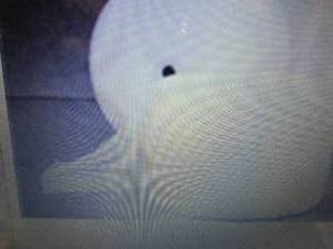 12 48x250 Slit 24 Perfed 12 L...