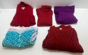 lot 31 image: Group Of Misc. Sweaters Including Disney Sizes L And 1x