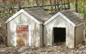 lot 11 image: 2 wood dog houses