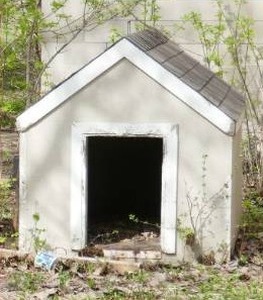 lot 12 image: wood dog house