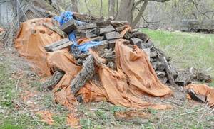 lot 22 image: Wood piles - various types of wood