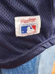 lot 257 image: Minnesota Twins Spring Training Jersey Adult Size L