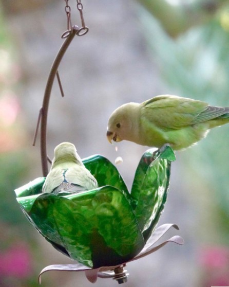 lot 979 image: Desert Steel Tulip Tree Bird Feeder