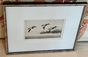 lot 24 image: Framed Vintage Drawing Print by Dee Wallace, Three Canvasbacks