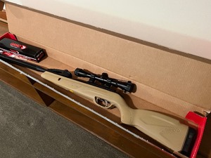 lot 183 image: GAMO Desert Swarm Air Gun - NEW