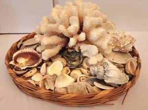 lot 125 image: Sweet Seaside Grouping