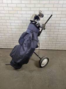 lot 1012 image: Knight Electra Womens Right Hand Gold Clubs, Bag and Cart - NO SHIPPING