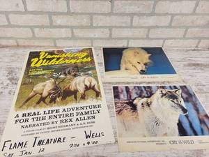 lot 195 image: Vanishing Wilderness Movie Poster and (2) Cry of the Wild Lobby Cards